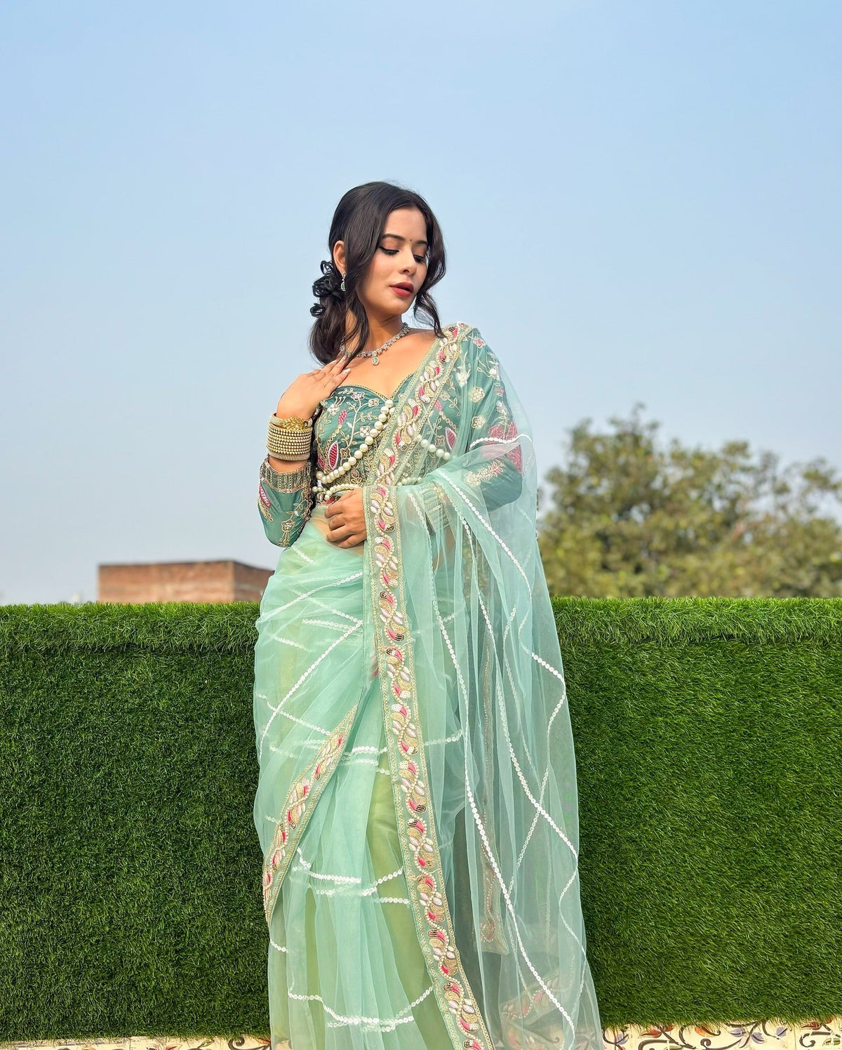 Evanik Pista Net Embroidery work Saree with Moti Hand work Blouse | Grocsy