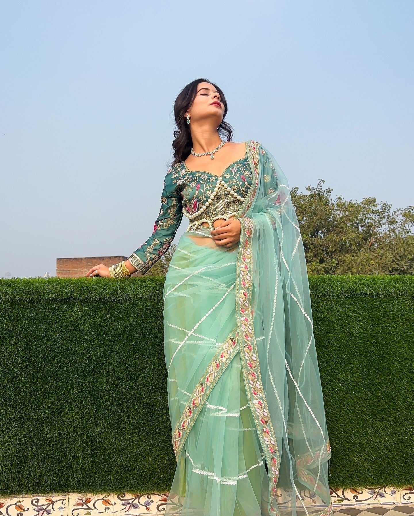 Evanik Pista Net Embroidery work Saree with Moti Hand work Blouse | Grocsy