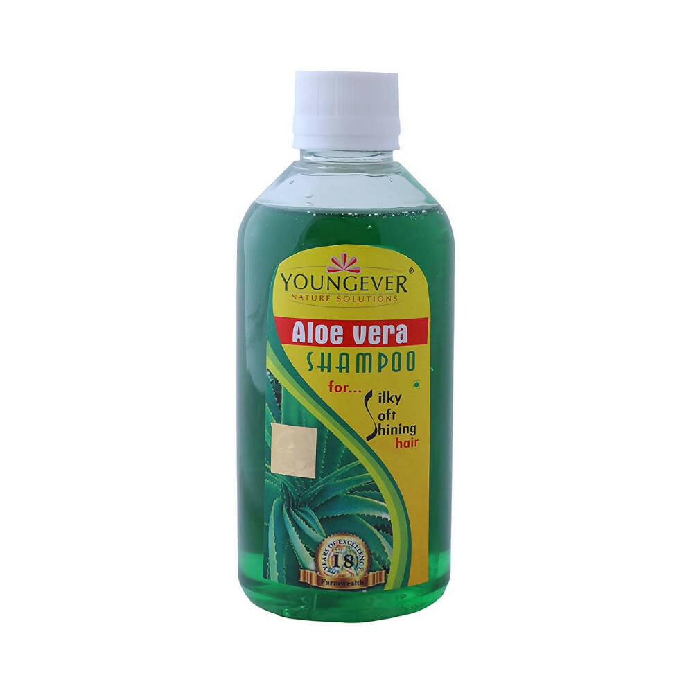 Youngever Aloe Vera Shampoo | Grocsy