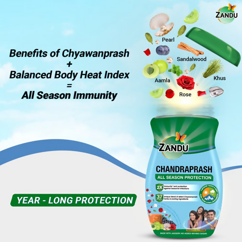 Zandu Chandraprash | Grocsy