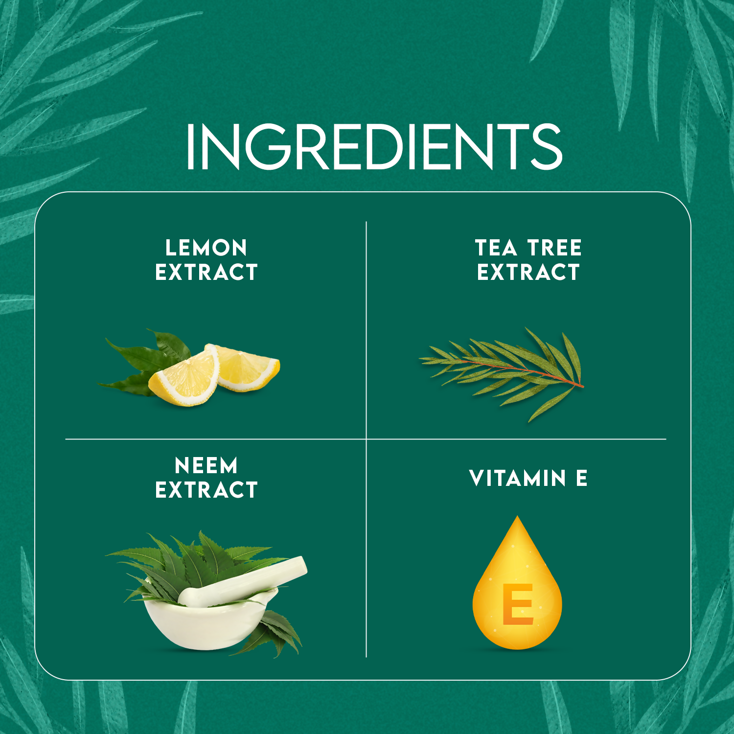 Jovees Tea Tree Oil Control Face Wash | Grocsy