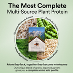 Wellbeing Nutrition Organic Plant Protein Isolate Dark Chocolate Hazelnut, 3B CFU Probiotics | Grocsy