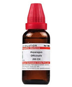 Dr. Willmar Schwabe India Asparagus Officinalis Dilution | Grocsy
