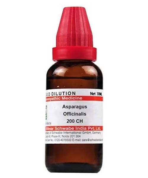 Dr. Willmar Schwabe India Asparagus Officinalis Dilution | Grocsy
