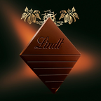 Lindt Excellence 70% Cocoa Extra Fine Dark Chocolate | Grocsy