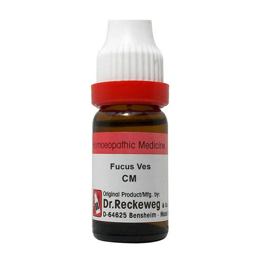 Dr. Reckeweg Fucus Ves Dilution | Grocsy