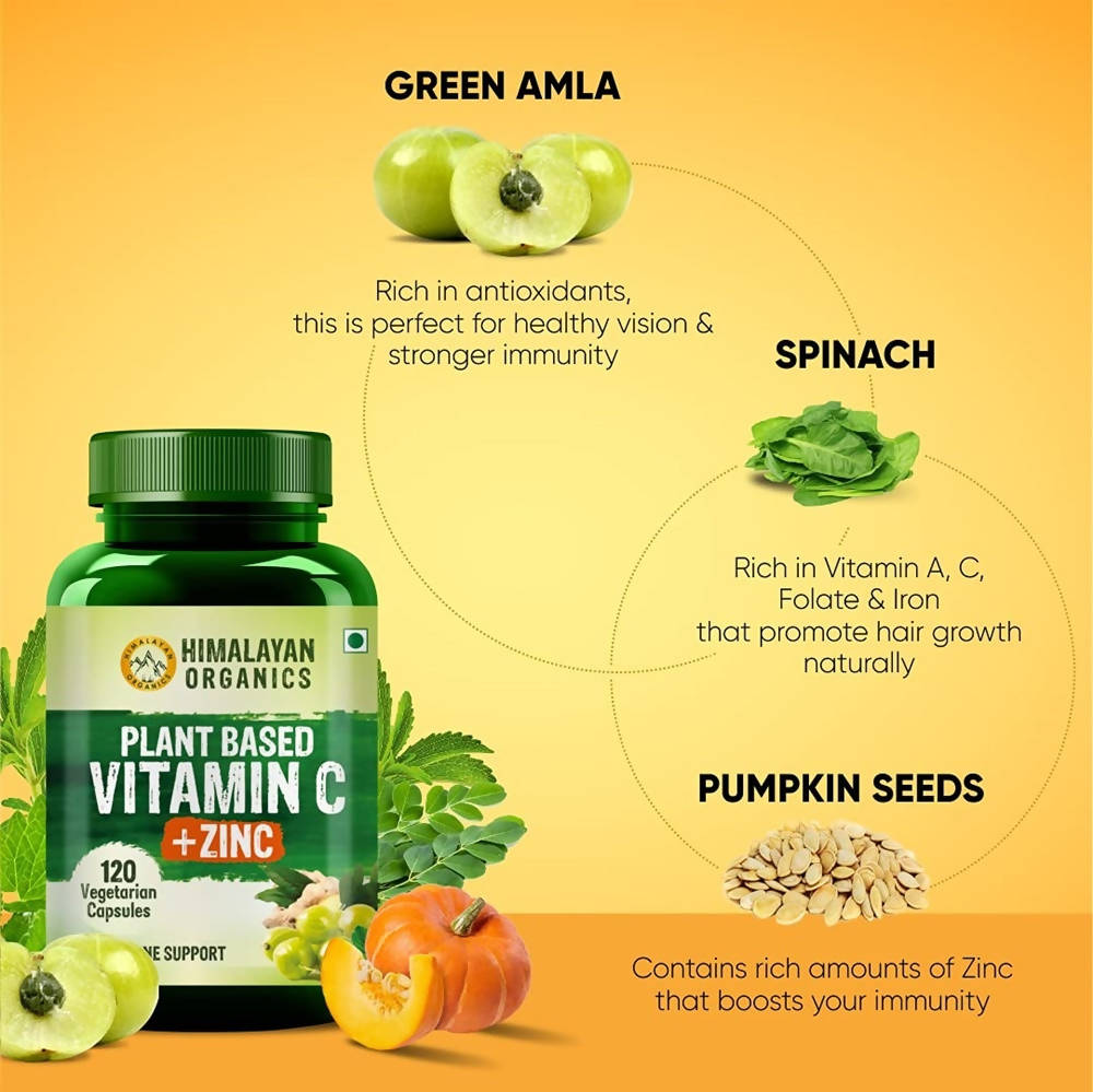 Himalayan Organics Plant Based Vitamin C + Zinc Double Immune Support Vegetarian Capsules | Grocsy