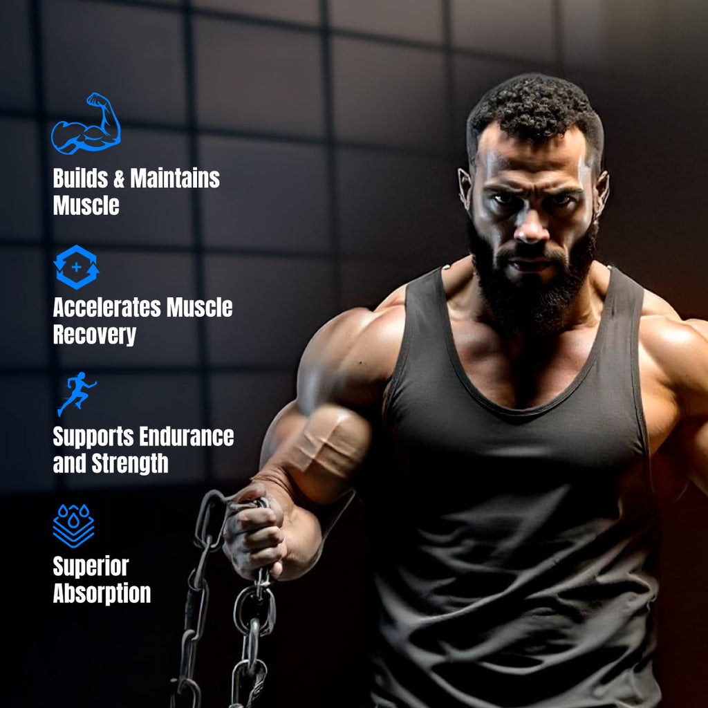 Big Muscles Nutrition Prime Protein | Grocsy