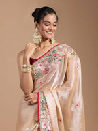 Teeya Creation Chiku Color Organza Silk Heavy Work Saree | Grocsy