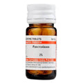 Dr. Willmar Schwabe India Pancreatinum Trituration Tablets | Grocsy