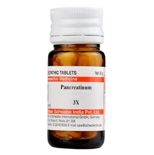Dr. Willmar Schwabe India Pancreatinum Trituration Tablets | Grocsy