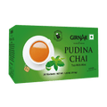 Girnar Black Tea Bags - Pudina | Grocsy