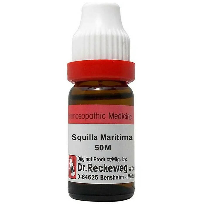 Dr. Reckeweg Squilla Maritima Dilution | Grocsy