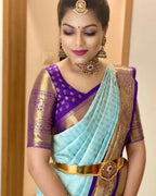 DEIANA'S Beautiful Designer Golden zari Soft Lichi Silk Saree - Sky | Grocsy
