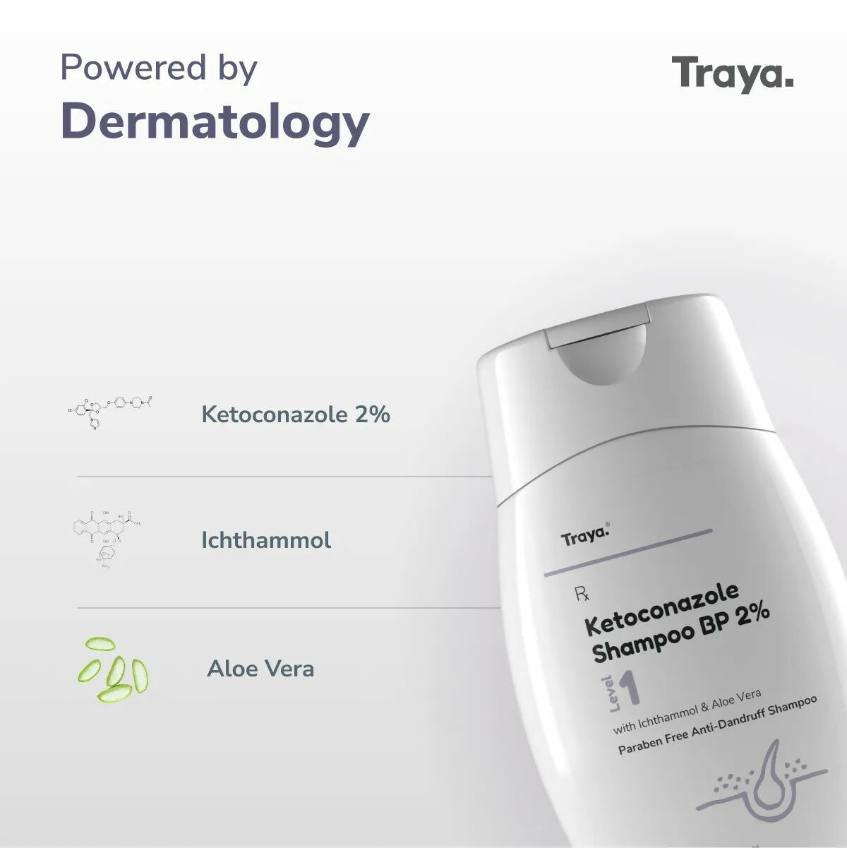 Traya Ketoconazole Shampoo BP 2% with Ichthammol & Aloe Vera | Grocsy