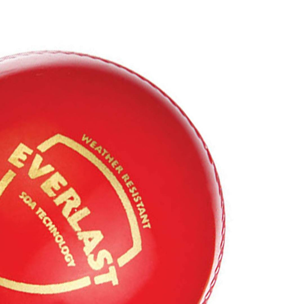 SG Everlast Leather Cricket Ball - Red