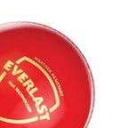 SG Everlast Leather Cricket Ball - Red