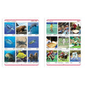 Jolly Kids Cut & Paste Project, Activities & Scrap Books Set of 4| Activity Charts-Flowers, Animals, National Flags etc | Grocsy