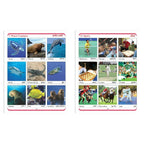 Jolly Kids Cut & Paste Project, Activities & Scrap Books Set of 4| Activity Charts-Flowers, Animals, National Flags etc | Grocsy