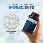 Miduty Zinc Picolinate Capsules | Grocsy