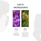 Kanpeki - Desquacream Facial Exfoliator | Grocsy