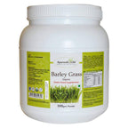 Ayurvedic Life Barley Grass Powder | Grocsy