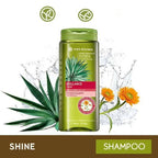 Yves Rocher Brillance Shine Gel Shampoo | Grocsy