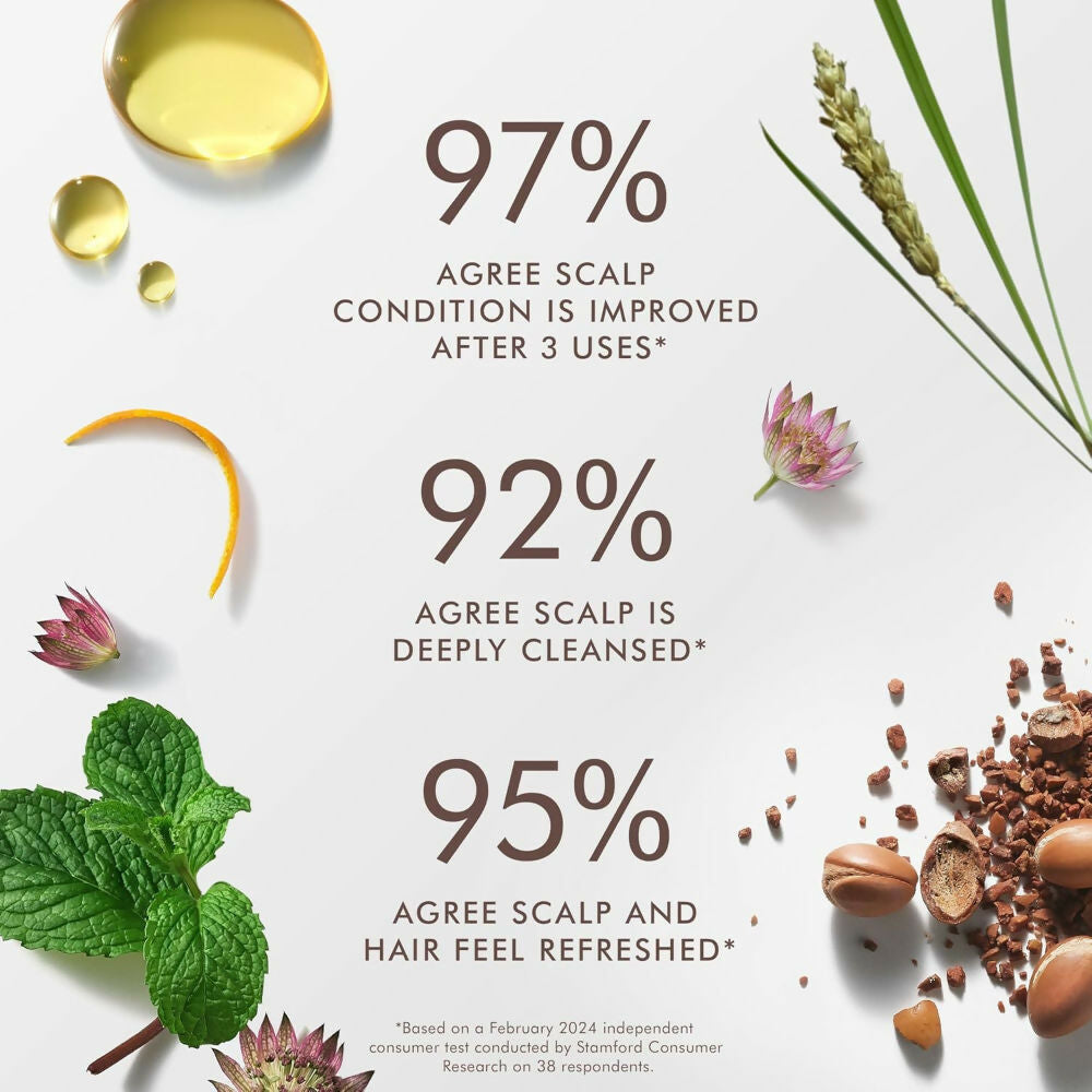 Moroccanoil Scalp Purifying Scrub | Grocsy