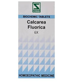 Dr. Willmar Schwabe India Calcarea Fluorica Biochemic Tablets | Grocsy