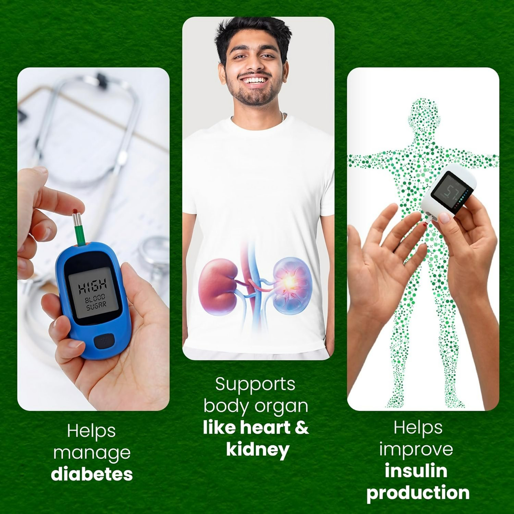Sheopal's Herbal Diabdex Diabetes Capsules | Grocsy