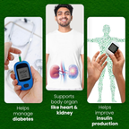 Sheopal's Herbal Diabdex Diabetes Capsules | Grocsy