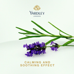 Yardley London Yardley Hair Cream English Lavender | Grocsy