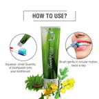 Bio Resurge Life Herbal Ayurvedic Spearmint Toothpaste | Grocsy