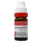 Dr. Reckeweg Rhododendron Dilution | Grocsy