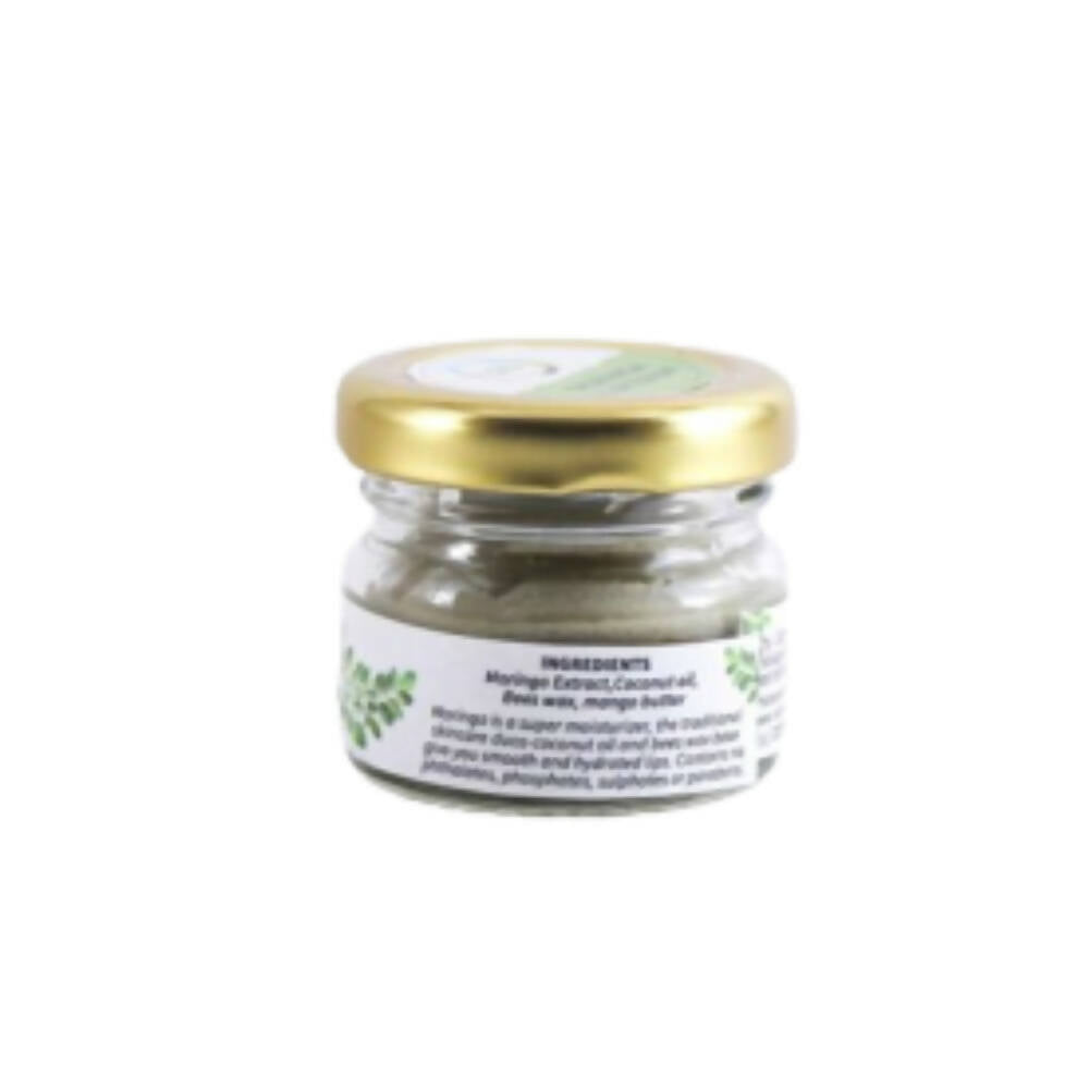 Native Circle Moringa Lip Balm | Grocsy
