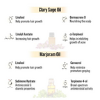 Keya Seth Aromatherapy Alopex Long N Strong Hair Oil | Grocsy