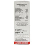 Dr. Willmar Schwabe India Willfort Anemia Drops | Grocsy