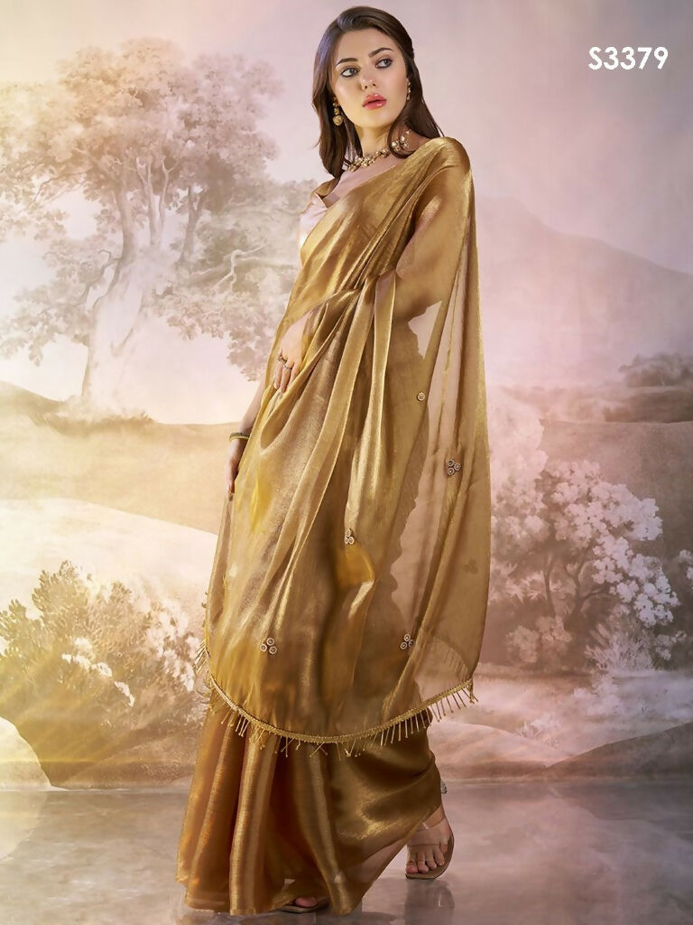 Brown Burberry Organza Solid Fancy Designer Saree - Nafisa | Grocsy