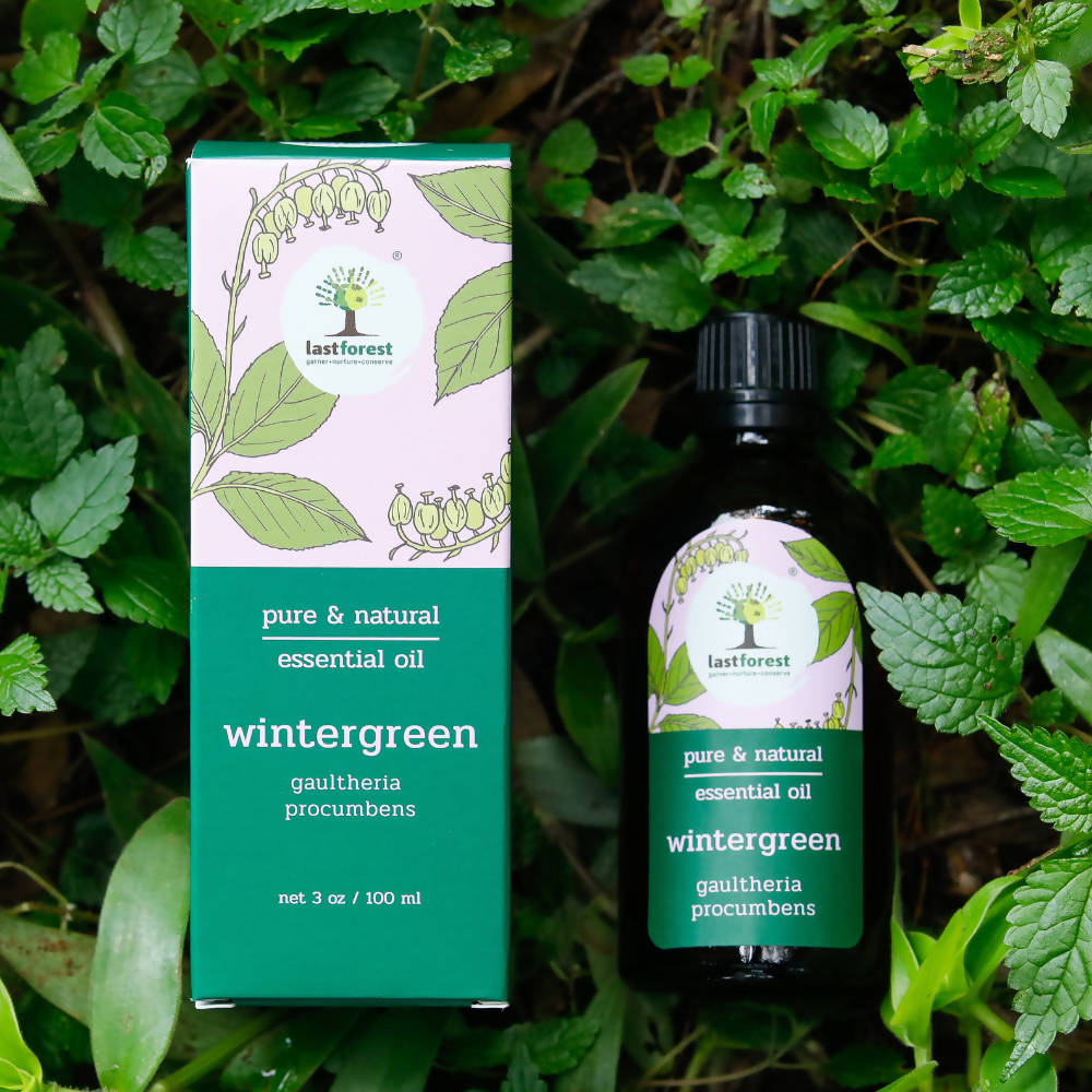 Lastforest Therapeutic Essential Oil Wintergreen | Grocsy