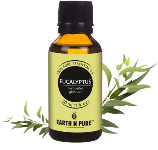 Earth N Pure Eucalyptus Essential Oil | Grocsy