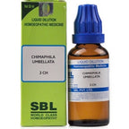 SBL Homeopathy Chimaphila Umbellata Dilution | Grocsy