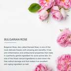 Lotus Professional Dermo Spa Bulgarian Rose Radiance and Renewal Night Cream | Grocsy