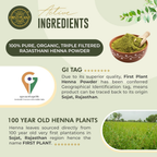 First Plant Premium Rajasthani Henna Powder | Grocsy