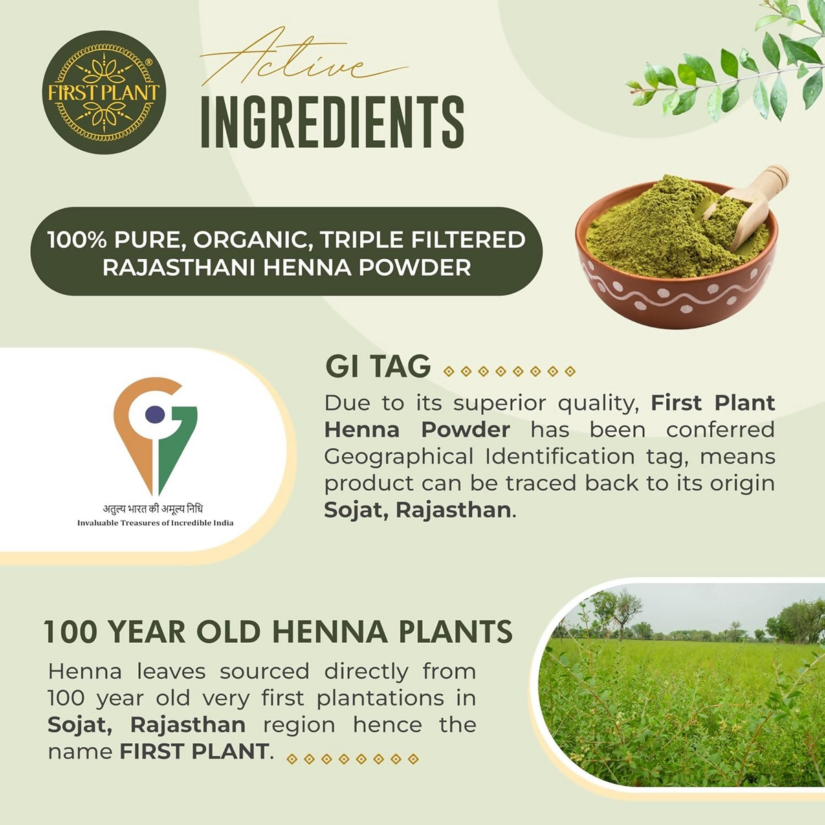 First Plant Premium Rajasthani Henna Powder | Grocsy
