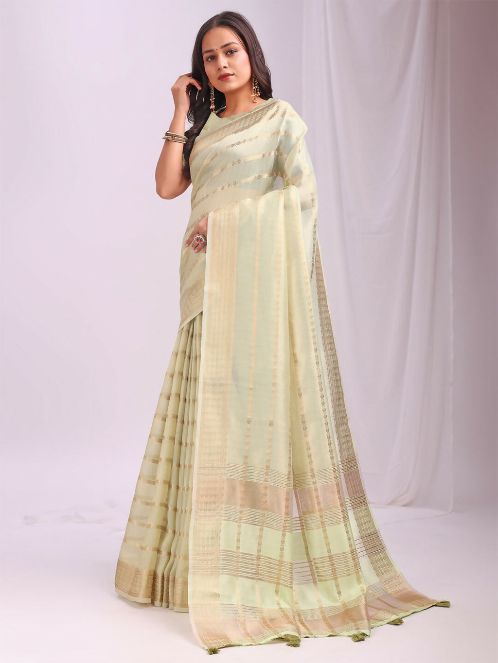 Shree Shyam Fashion Organza Light Green Saree | Grocsy