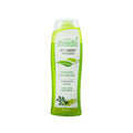 Dhathri Dheedhi Anti-Dandruff Hair Shampoo To Reduce Dandruff & Itchiness | Grocsy