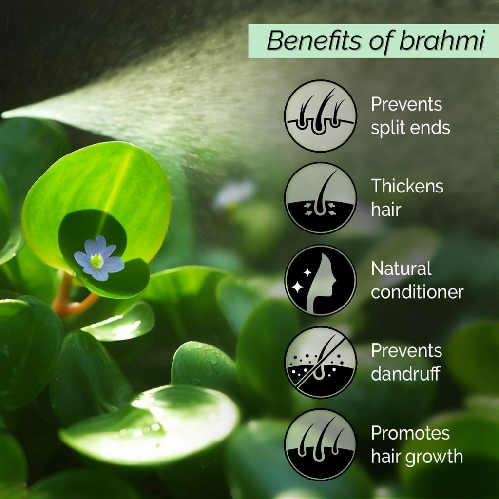 Pyoura Brahmi Non-Oily Hair Spray Serum Mist Natural Conditioner | Grocsy