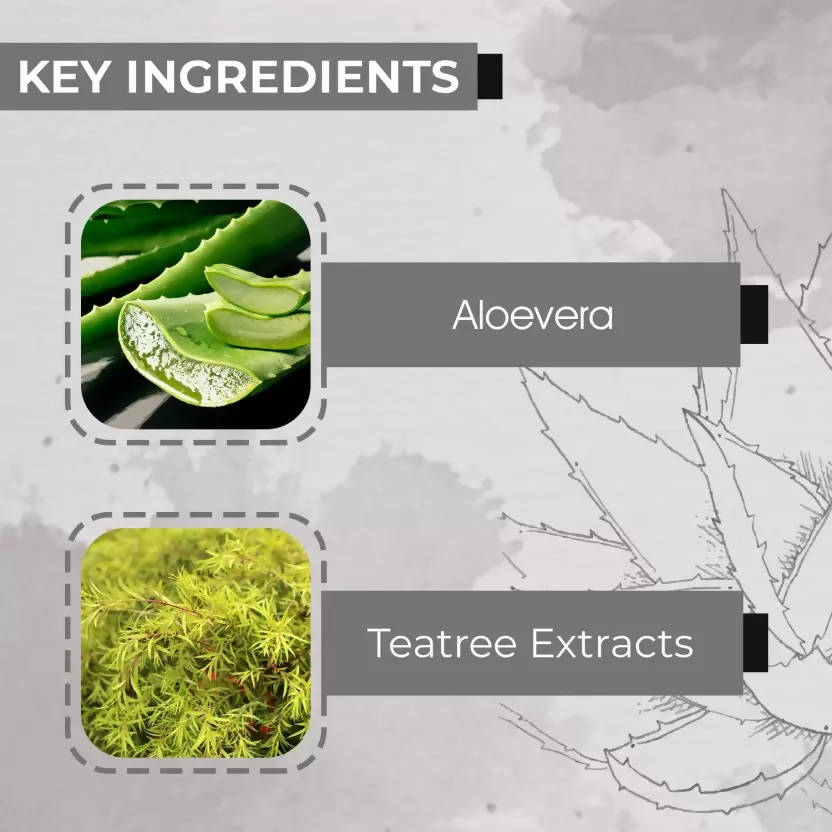 Ae Naturals Pure Aloevera Gel With Teatree Extracts | Grocsy