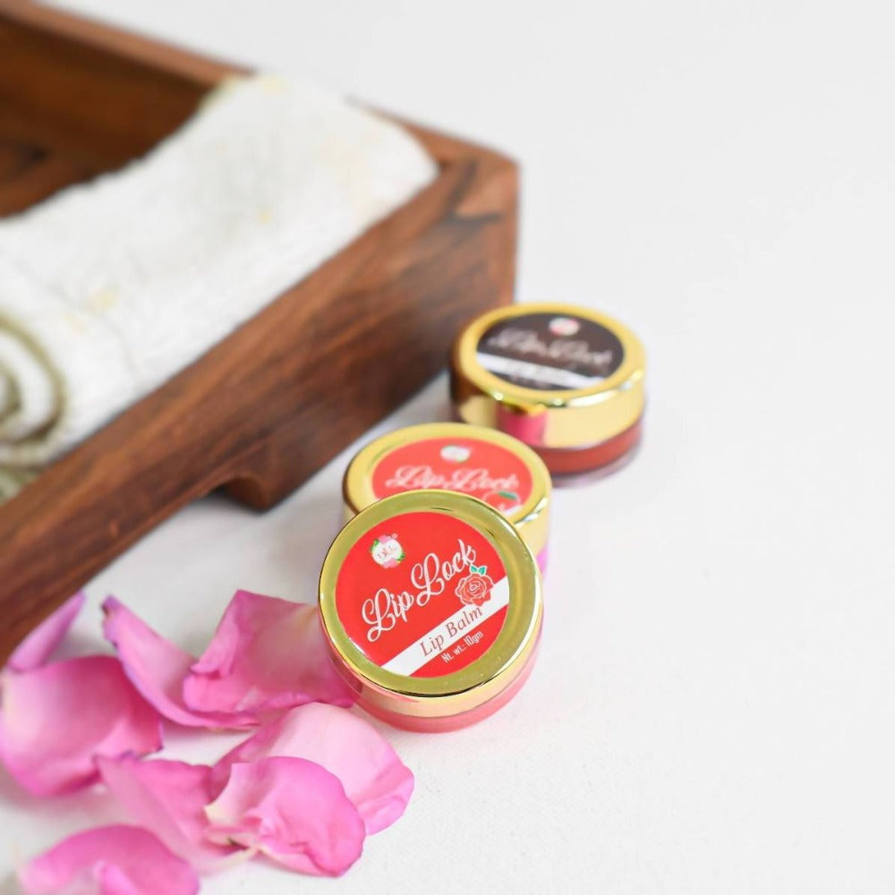 Duh Lip Balm | Grocsy