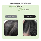 Prem Dulhan Natural Black Henna Based Hair Color | Grocsy